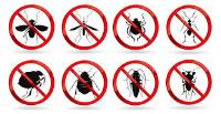 Local Pest Control Brisbane image 2